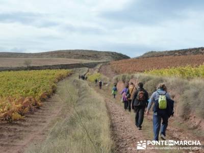 Enología en Rioja - Senderismo Camino de Santiago; burgos senderismo